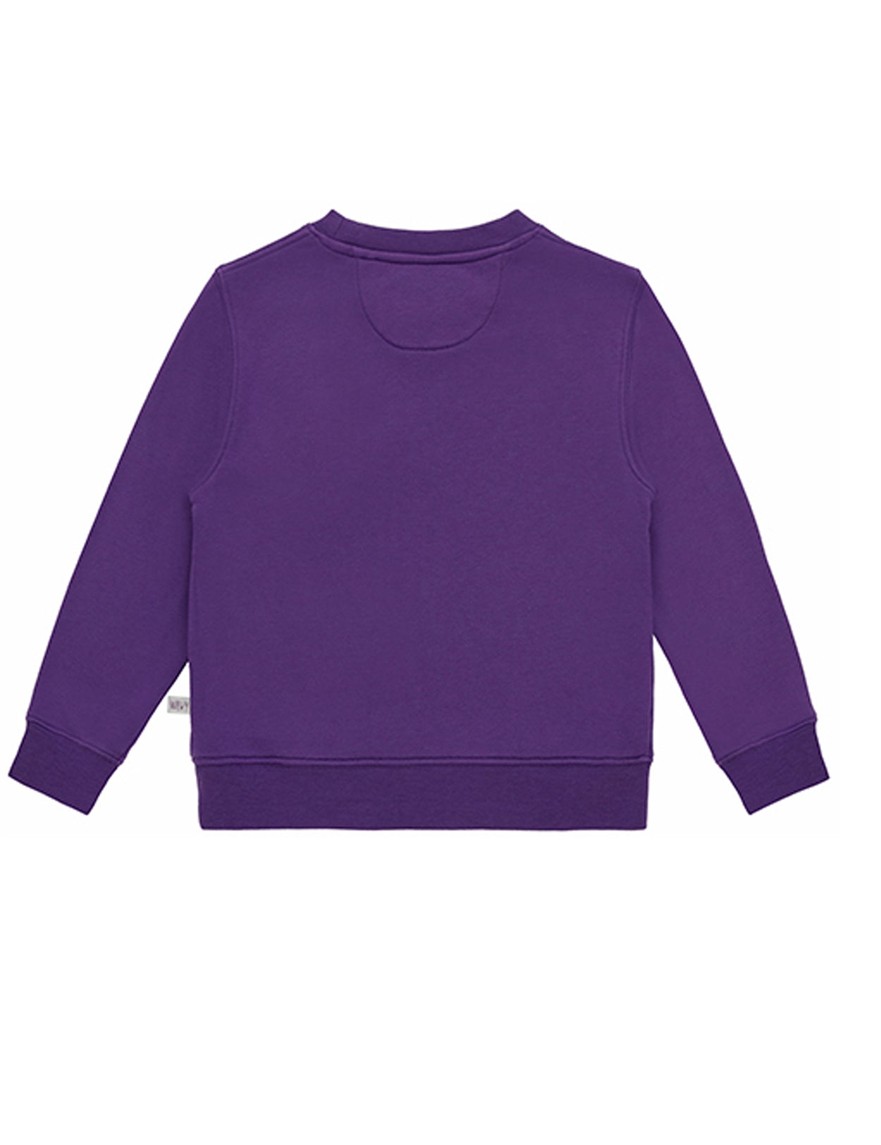 Squeaky Purple Crew Neck Sweatshirt