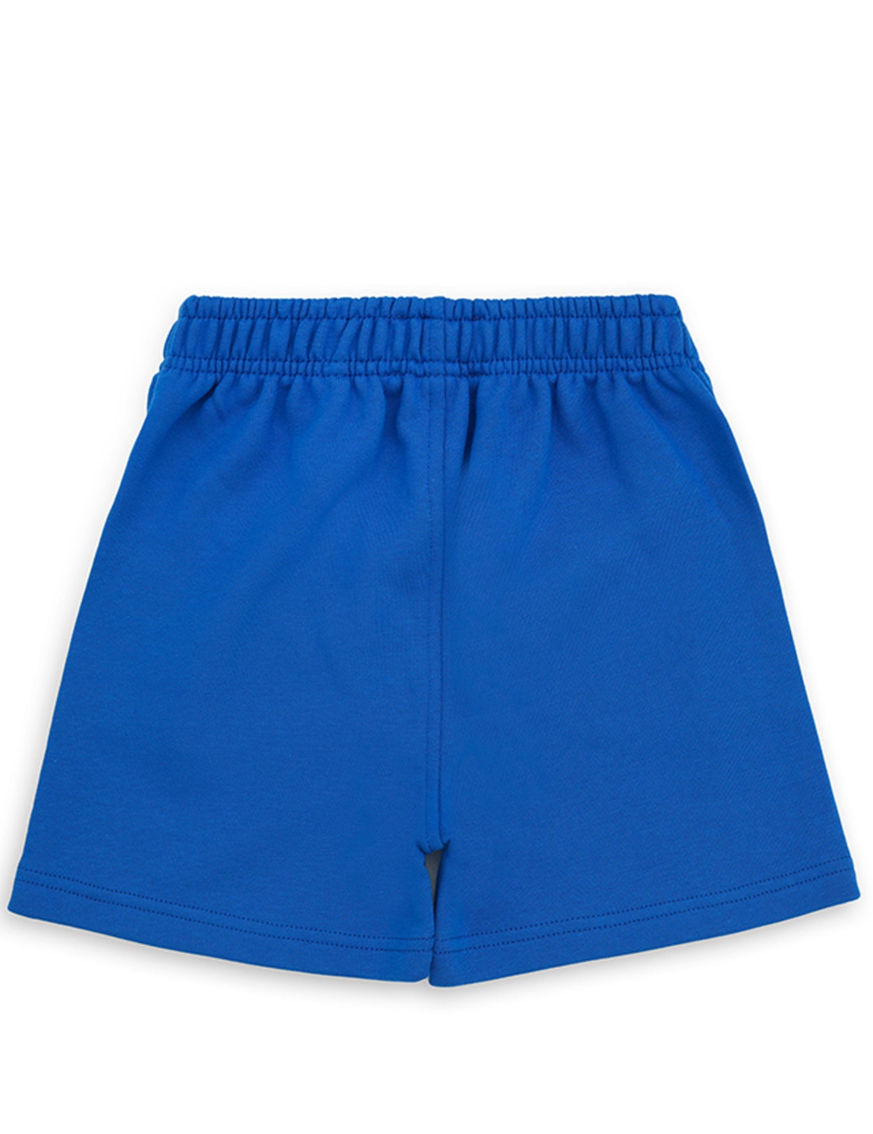 Cobalt Blue Shorts 