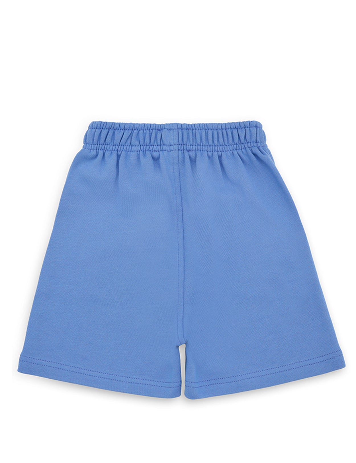 Lilac Shorts 